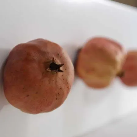 Hotel Rastoni - Helvetia