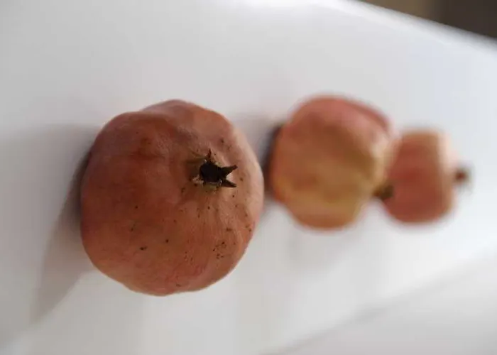 Szálloda Rastoni - Helvetia